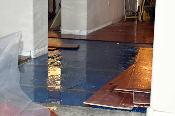 Professional Water Extraction technician working in New Braunfels, TX